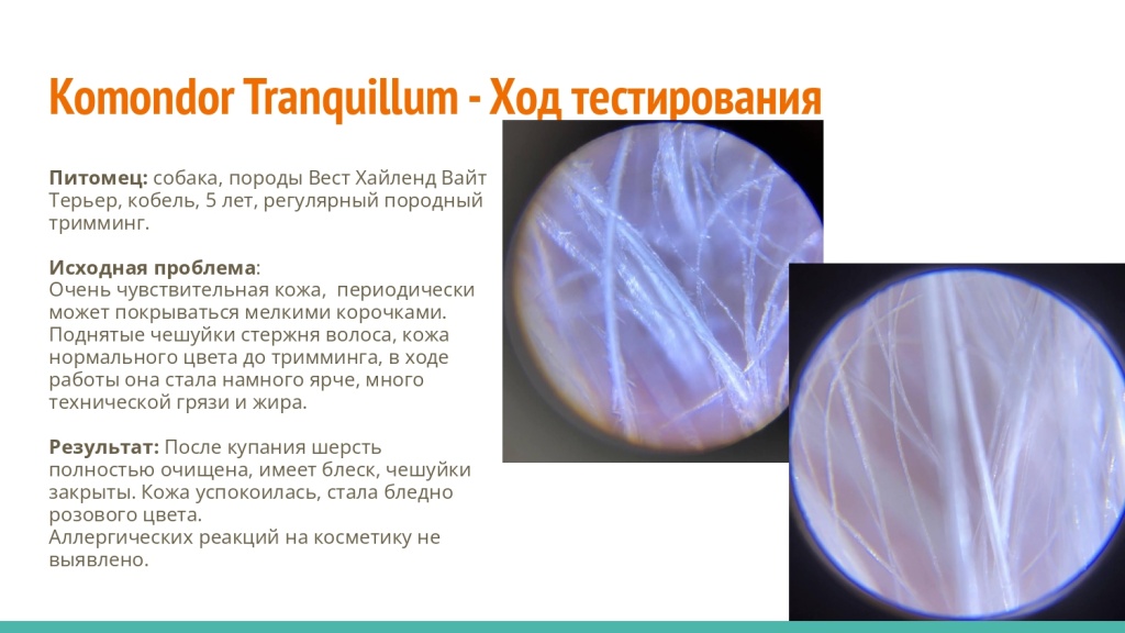 Исследование на базе академии Milord 17