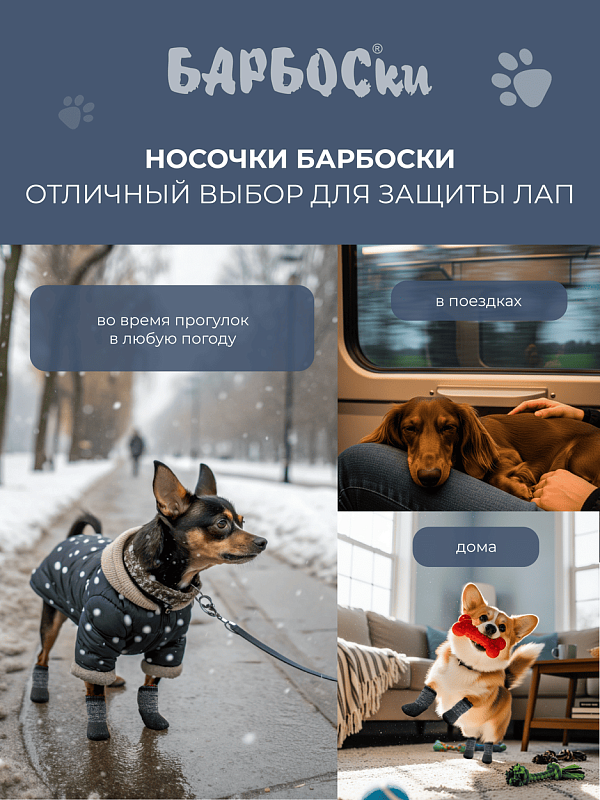 БАРБОСки от МОРОЗКИ, размер 3  154003