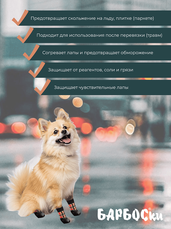 Носки БАРБОСКи L "Клетка" 15765