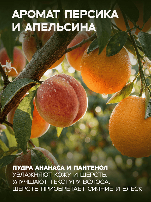 MILORD Набор "Текстурирующий". Бальзам Универсальный  + Шампунь "Персик и Апельсин"  по 300 мл M3896
