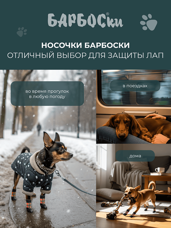 Носки БАРБОСКи L "Клетка" 15765