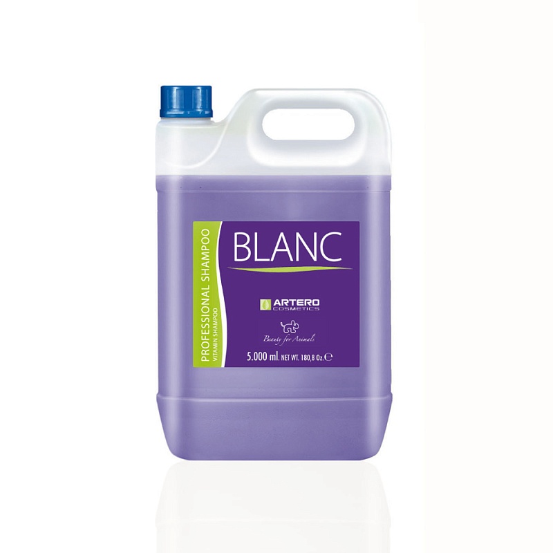 Шампунь ARTERO тонирующий BLANCO 5л H649