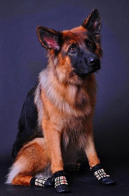 Носки БАРБОСКи XXL "Клетка"  151371