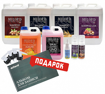 MILORD Набор "Все что нужно для салона"