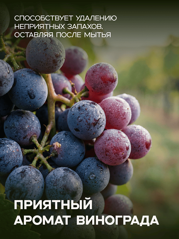 Шампунь очищающий MILORD ВИНОГРАД, 300мл, M3568