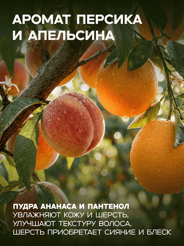 Шампунь текстурирующий MILORD ПЕРСИК И АПЕЛЬСИН, 5л, M3629