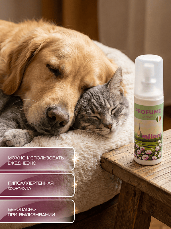MILORD Парфюм "Канапа" аромат цветов 100 мл, (M4336)