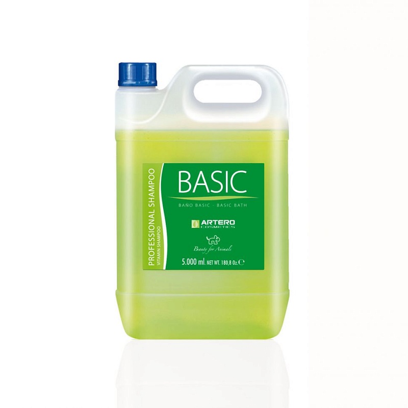 Шампунь ARTERO Basic 5л H635