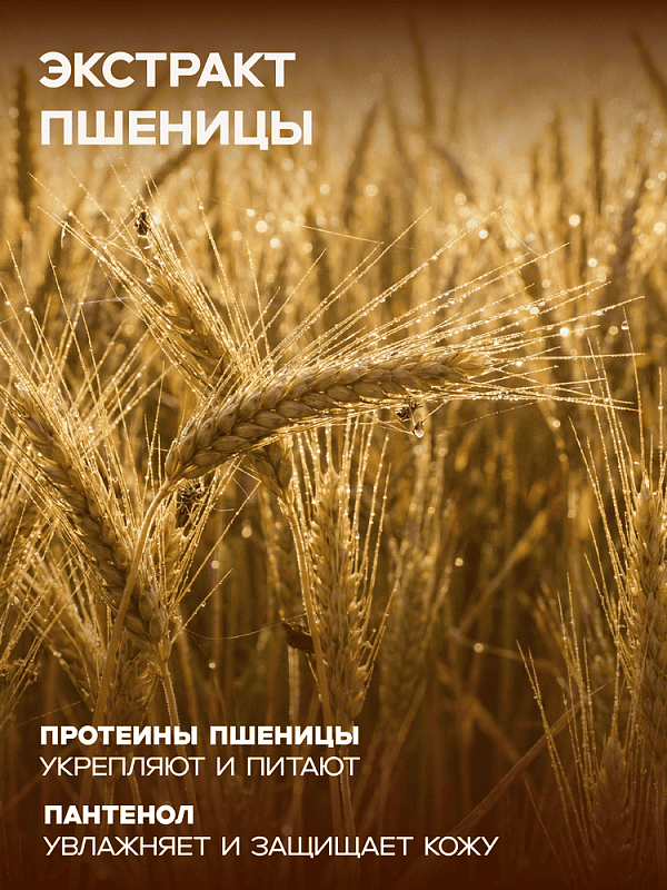 Шампунь MILORD Концентрат 1:50 2л  M4374
