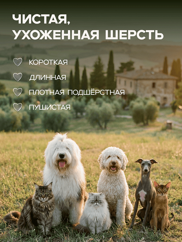 MILORD Набор Универсальный бальзам+шампунь, Пшеница, 2*300 мл, M3865