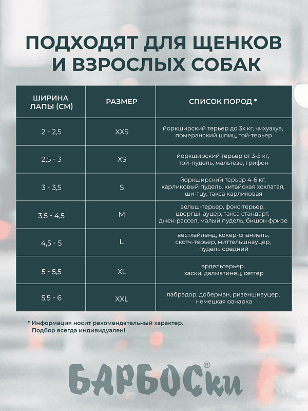 Носки БАРБОСКи L "Клетка" 15765